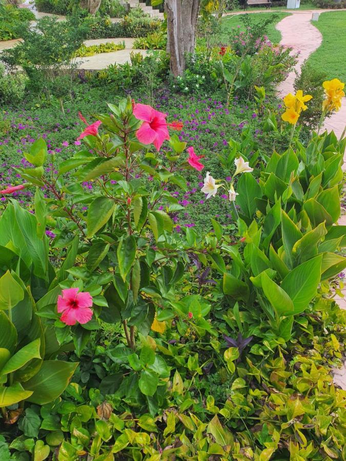 ホテル Hacienda Maria Elena Yucatan Ticul エクステリア 写真